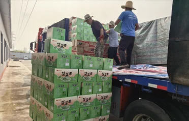 Dove sono finiti i 70 g di spaghetti di spinaci dopo essere stati caricati a Qinhuangdao? In che modo Dongyang Food serve contemporaneamente sia il mercato nazionale che quello internazionale?