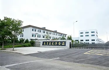 Con un investimento di 250 milioni di RMB e una fabbrica da 40.000㎡, Dongyang Foods ha costruito solide basi per la produzione di noodle istantanei di alta qualità.