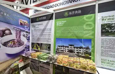 Stai cercando di procurarti noodles non fritti in Malesia? Vetrine alimentari di Qinhuangdao Dongyang alla fiera internazionale halal Stai cercando di procurarti noodles non fritti in Malesia? Vetrine alimentari di Qinhuangdao Dongyang alla fiera internazionale halal